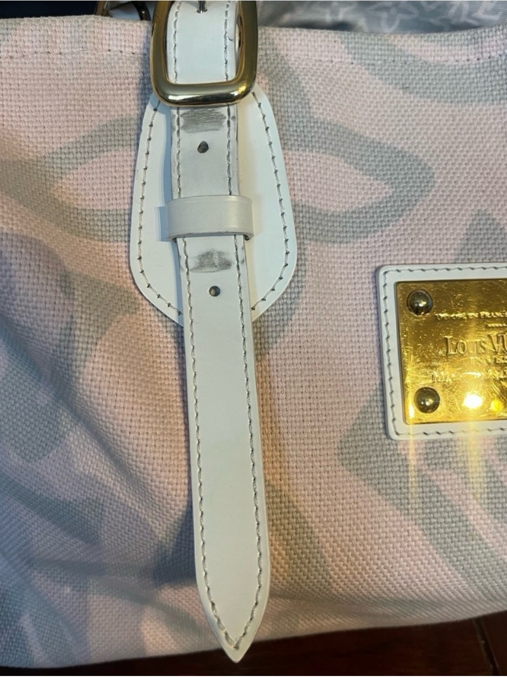 Louis Vuitton Pink Canvas Tahitienne Cabas Pm bag 💯authenticated - Picture 12 of 13